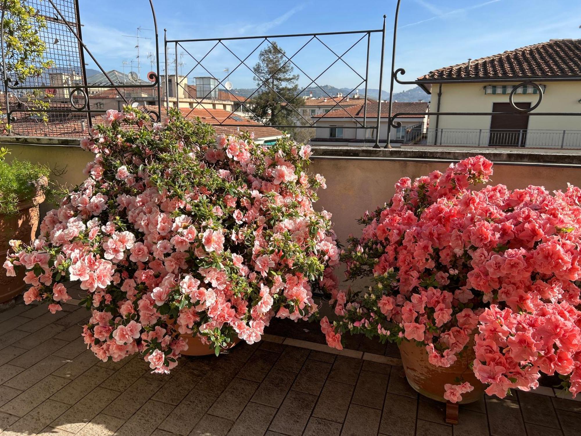 Cherubini Florence Residence Exterior foto